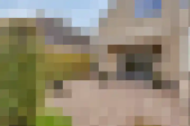 Populierenstraat 12 Vinkel thumbnail 30
