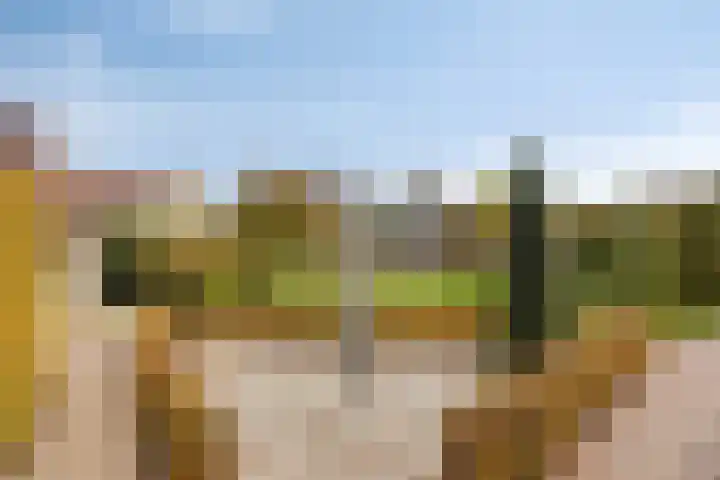 Populierenstraat 12 Vinkel thumbnail 32