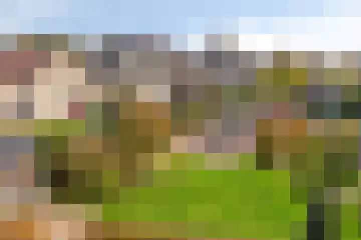 Populierenstraat 12 Vinkel thumbnail 33