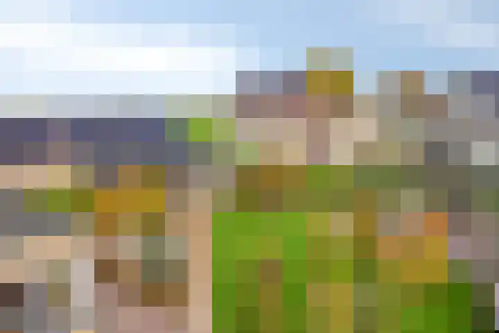 Populierenstraat 12 Vinkel thumbnail 34