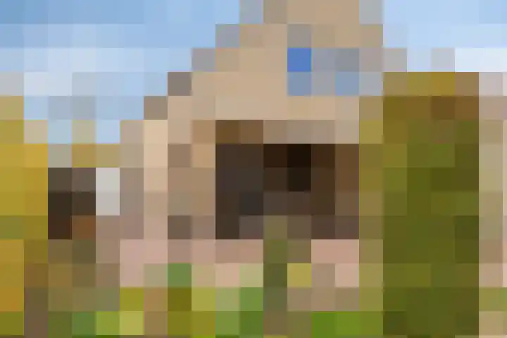 Populierenstraat 12 Vinkel thumbnail 36