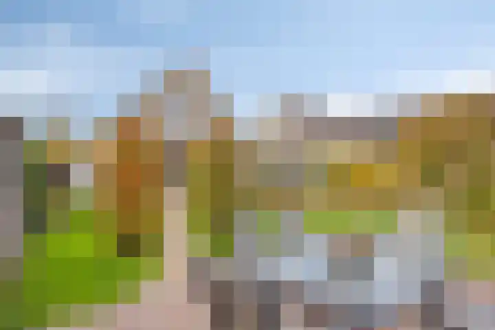 Populierenstraat 12 Vinkel thumbnail 37
