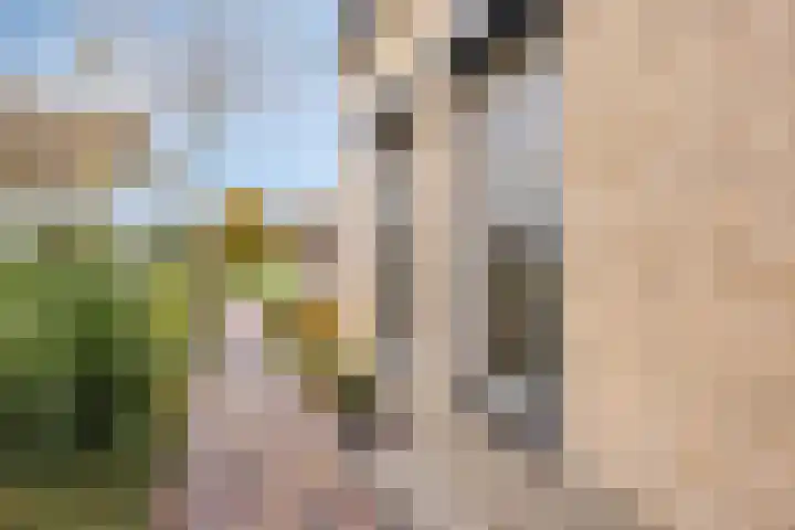 Populierenstraat 12 Vinkel thumbnail 38