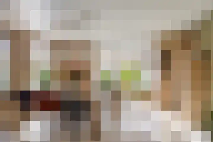 Populierenstraat 12 Vinkel thumbnail 4