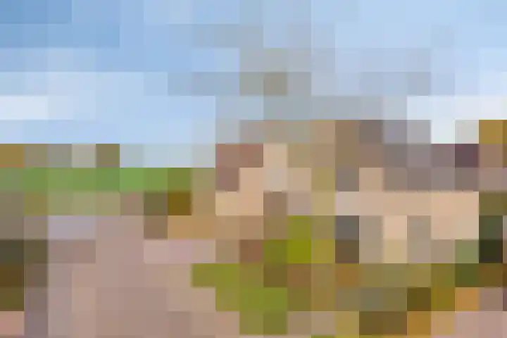 Populierenstraat 12 Vinkel thumbnail 42