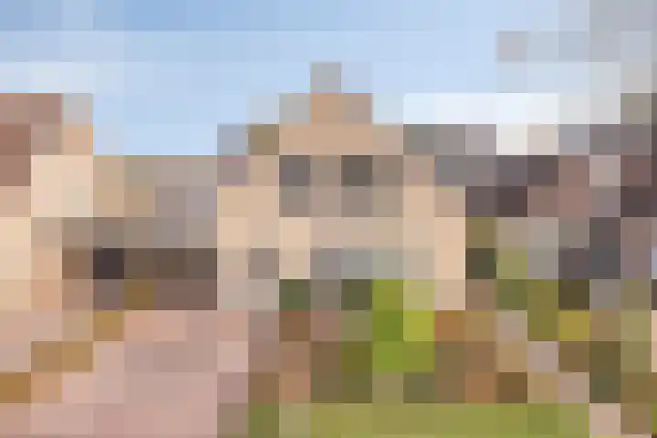 Populierenstraat 12 Vinkel thumbnail 43
