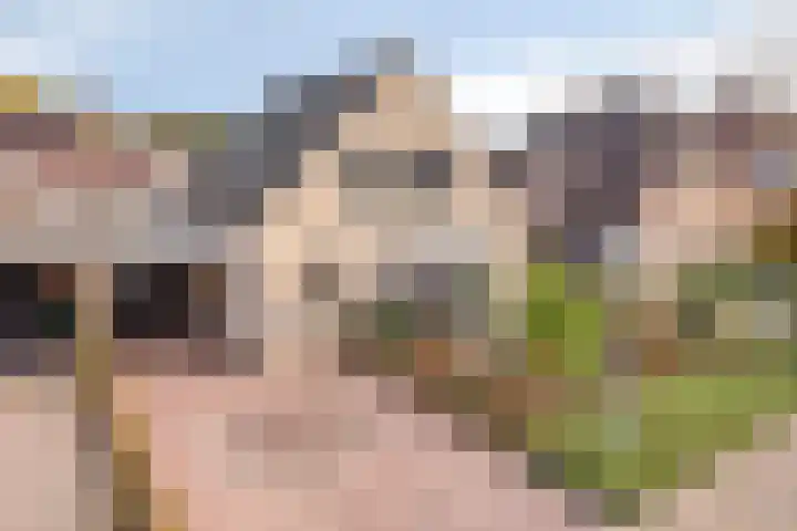 Populierenstraat 12 Vinkel thumbnail 44