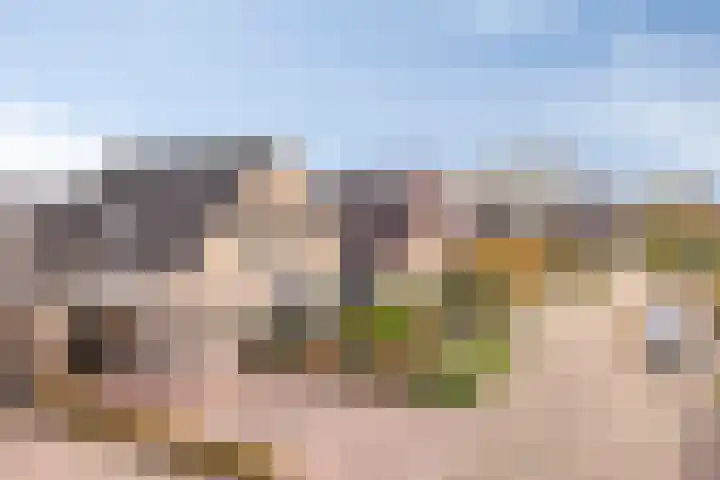 Populierenstraat 12 Vinkel thumbnail 45