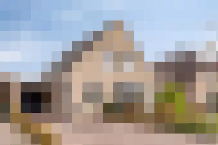 Populierenstraat 12 Vinkel thumbnail 46