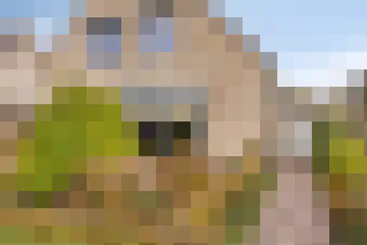 Populierenstraat 12 Vinkel thumbnail 49