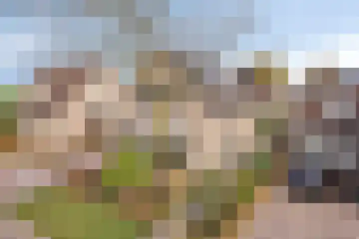Populierenstraat 12 Vinkel thumbnail 50