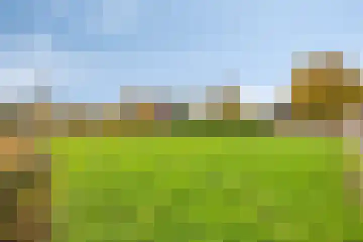 Populierenstraat 12 Vinkel thumbnail 52