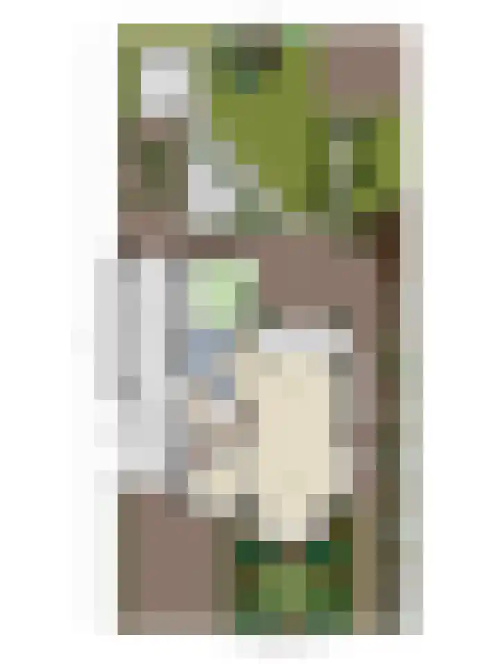 Populierenstraat 12 Vinkel thumbnail 56