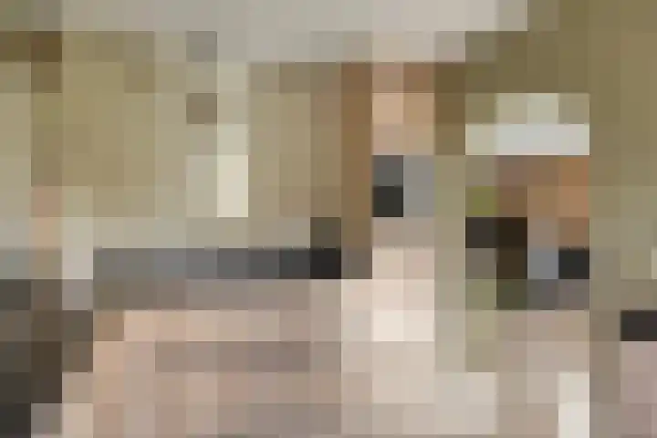 Populierenstraat 12 Vinkel thumbnail 9