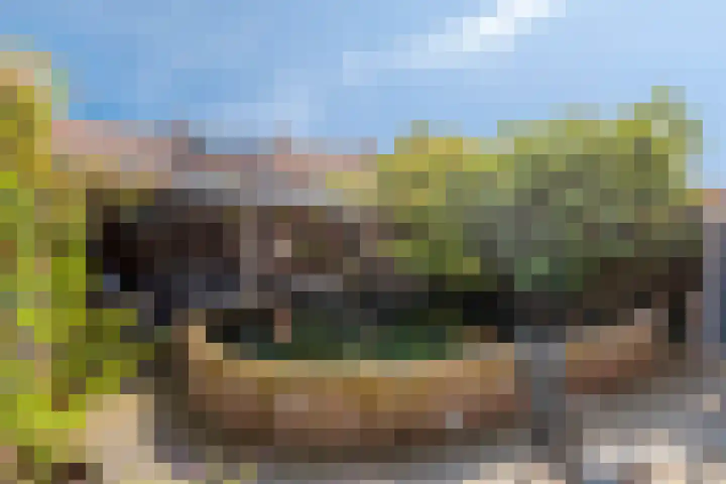 Populierenstraat 12 Winterswijk thumbnail 25