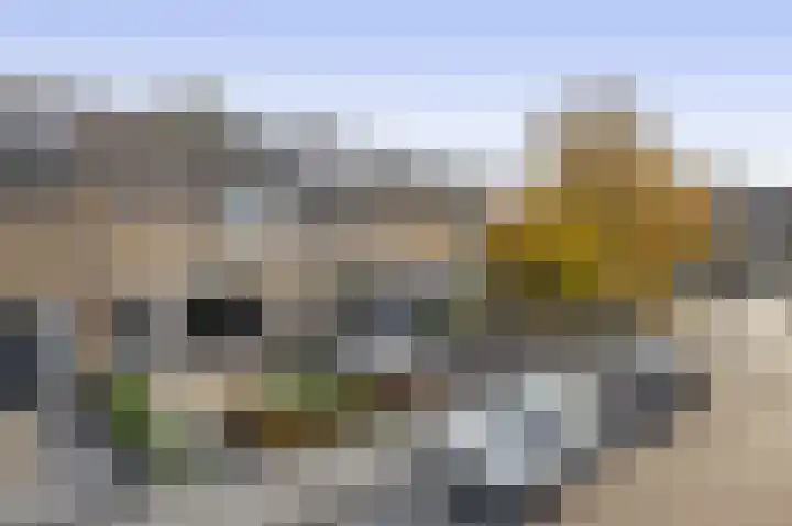 Populierenstraat 13 Spijkenisse thumbnail 10