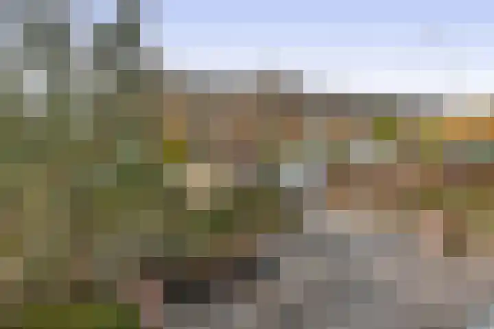 Populierenstraat 13 Spijkenisse thumbnail 12