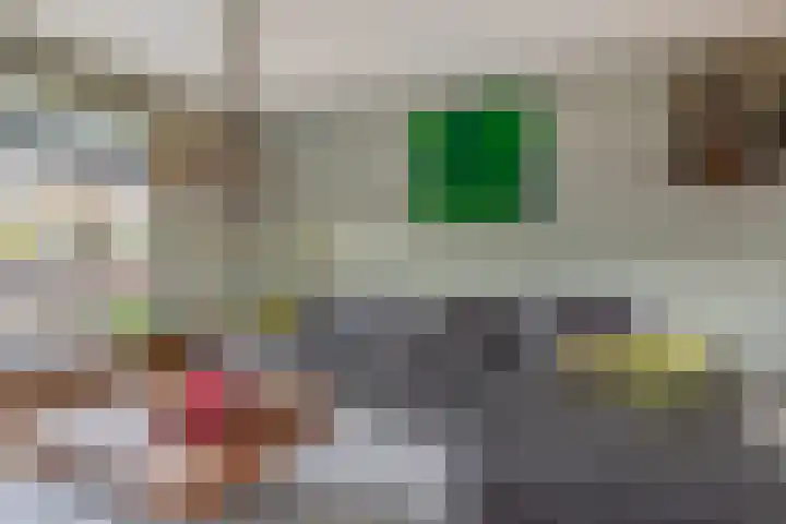 Populierenstraat 13 Spijkenisse thumbnail 15