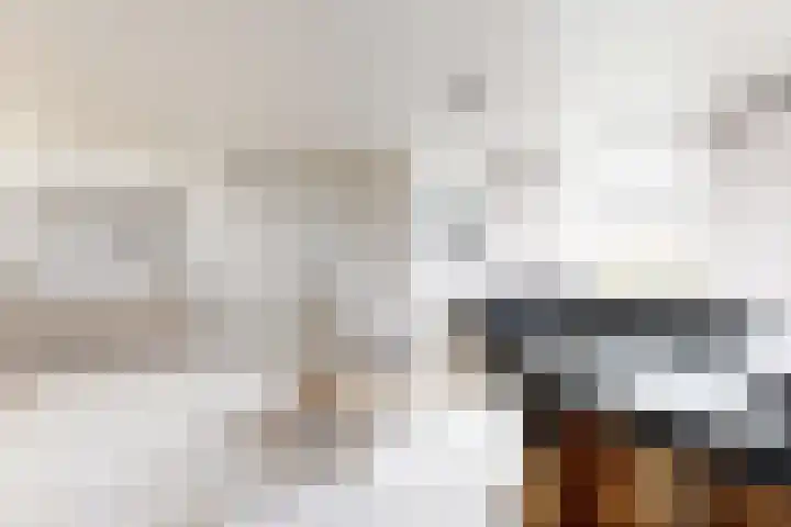 Populierenstraat 15 Fijnaart thumbnail 15