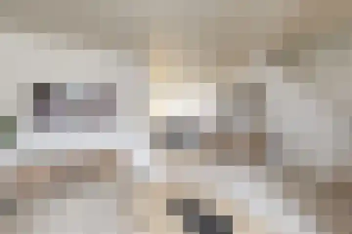 Populierenstraat 15 Fijnaart thumbnail 16