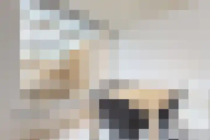 Populierenstraat 15 Fijnaart thumbnail 19