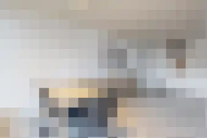 Populierenstraat 15 Fijnaart thumbnail 20
