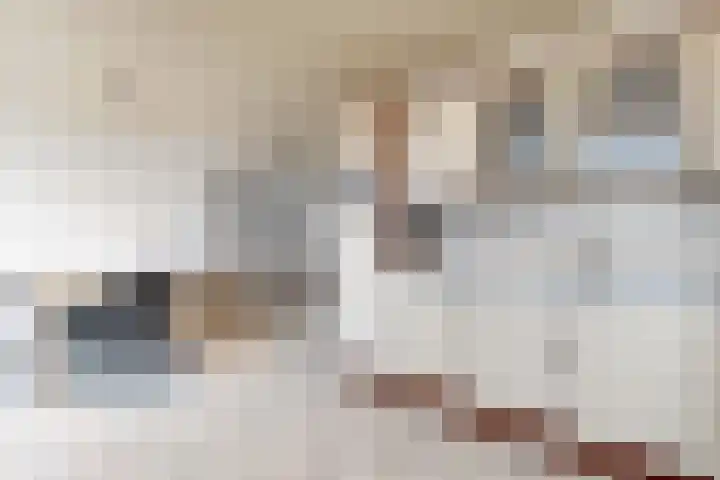 Populierenstraat 15 Fijnaart thumbnail 22