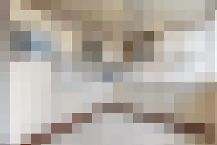 Populierenstraat 15 Fijnaart thumbnail 23