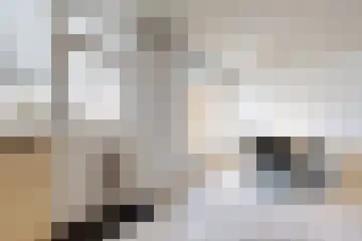 Populierenstraat 15 Fijnaart thumbnail 25