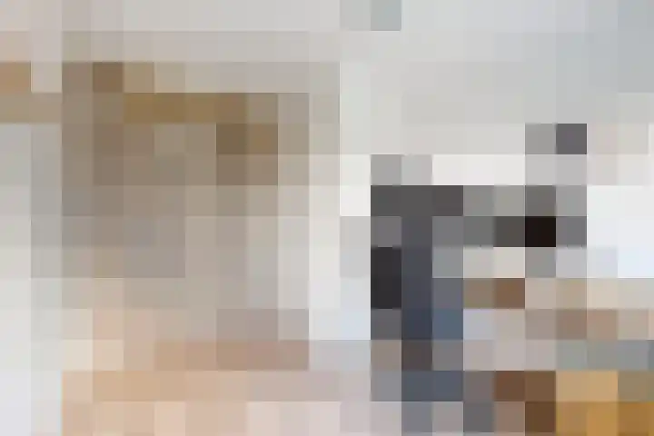 Populierenstraat 15 Fijnaart thumbnail 30