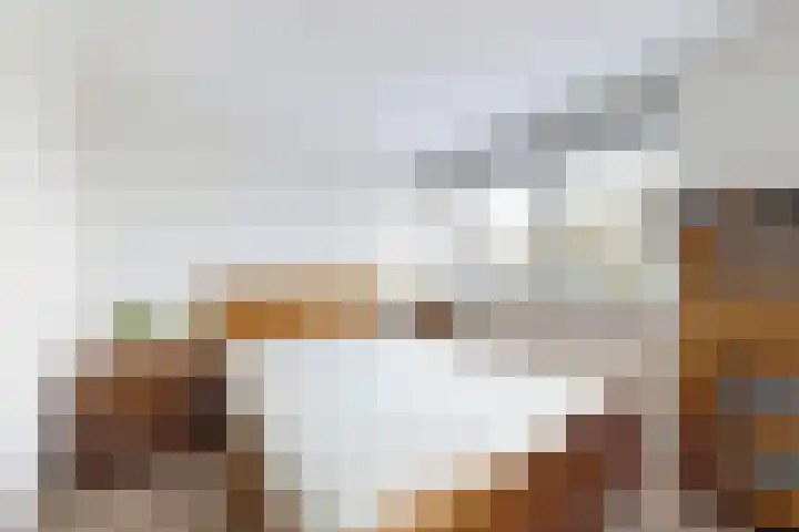 Populierenstraat 15 Fijnaart thumbnail 32