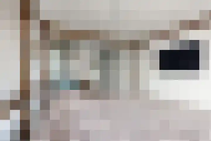 Populierenstraat 15 Fijnaart thumbnail 35