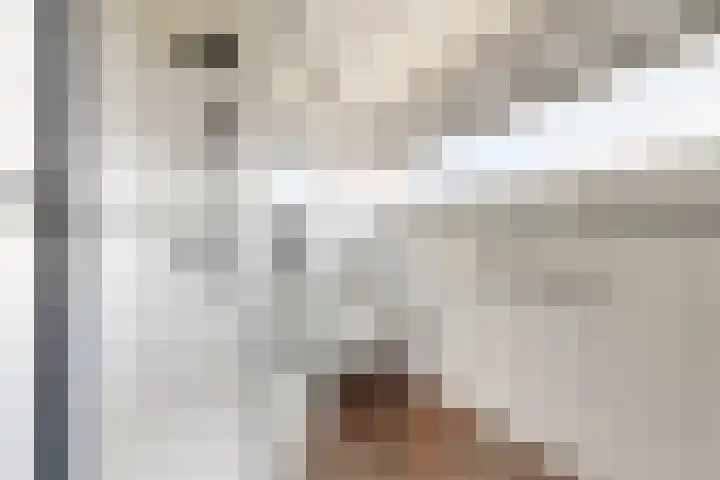 Populierenstraat 15 Fijnaart thumbnail 38