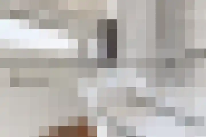 Populierenstraat 15 Fijnaart thumbnail 40