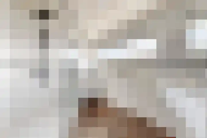 Populierenstraat 15 Fijnaart thumbnail 41