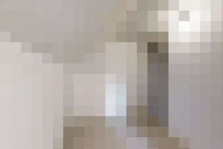 Populierenstraat 15 Fijnaart thumbnail 43