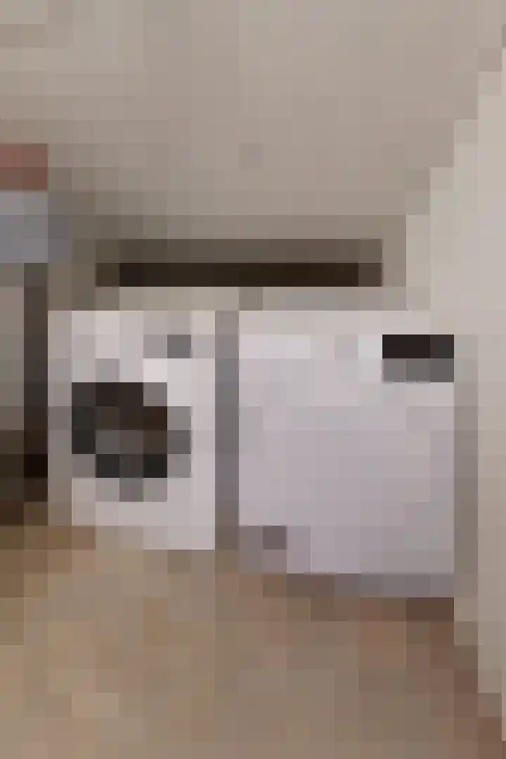 Populierenstraat 15 Fijnaart thumbnail 44