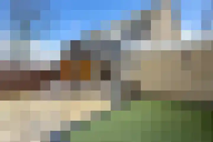 Populierenstraat 15 Fijnaart thumbnail 48
