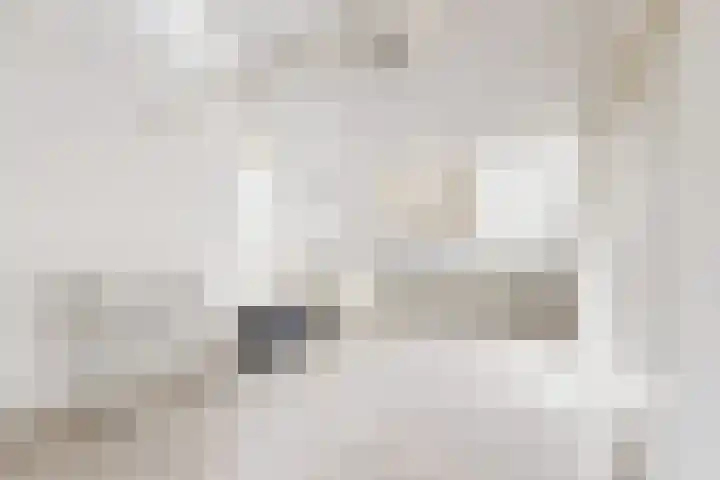 Populierenstraat 15 Fijnaart thumbnail 5