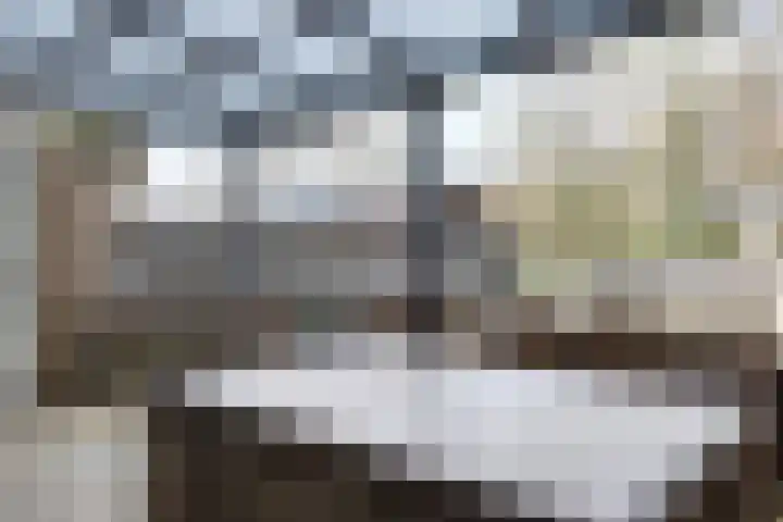 Populierenstraat 15 Fijnaart thumbnail 52