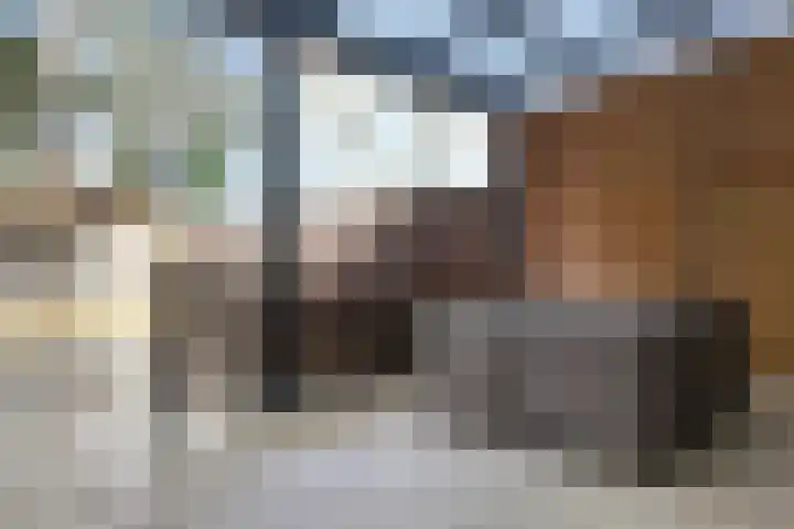 Populierenstraat 15 Fijnaart thumbnail 53