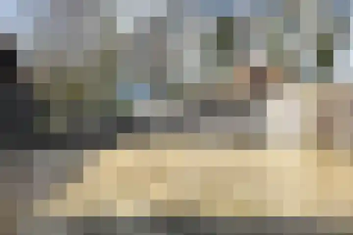 Populierenstraat 15 Fijnaart thumbnail 55