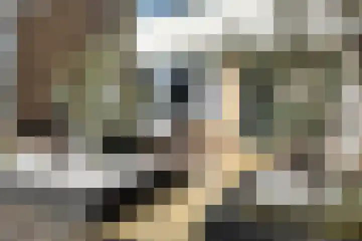 Populierenstraat 15 Fijnaart thumbnail 59