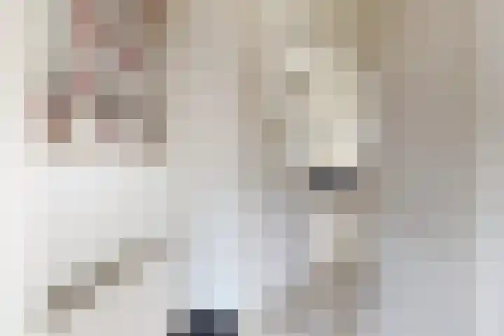 Populierenstraat 15 Fijnaart thumbnail 8