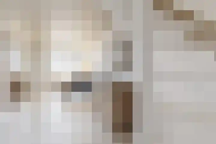 Populierenstraat 15 Fijnaart thumbnail 9
