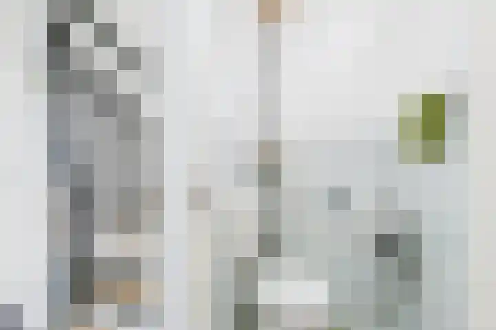 Populierenstraat 15 Terneuzen thumbnail 20