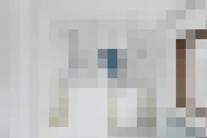 Populierenstraat 15 Terneuzen thumbnail 27