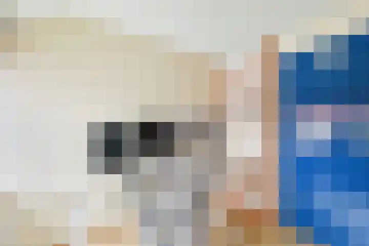 Populierenstraat 15 Terneuzen thumbnail 31