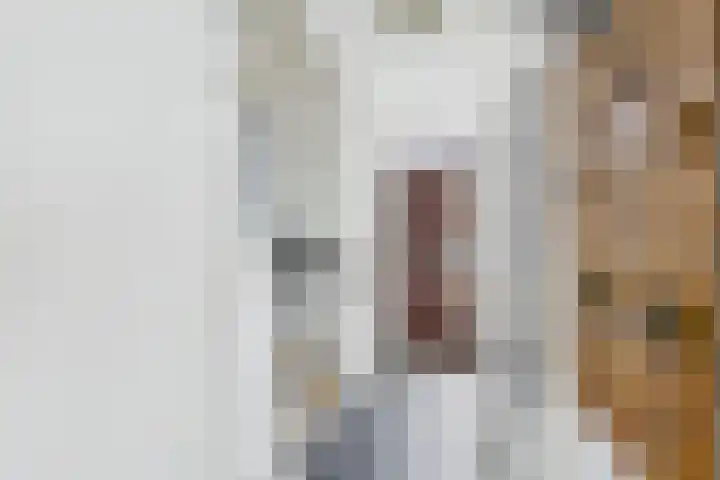 Populierenstraat 15 Terneuzen thumbnail 8