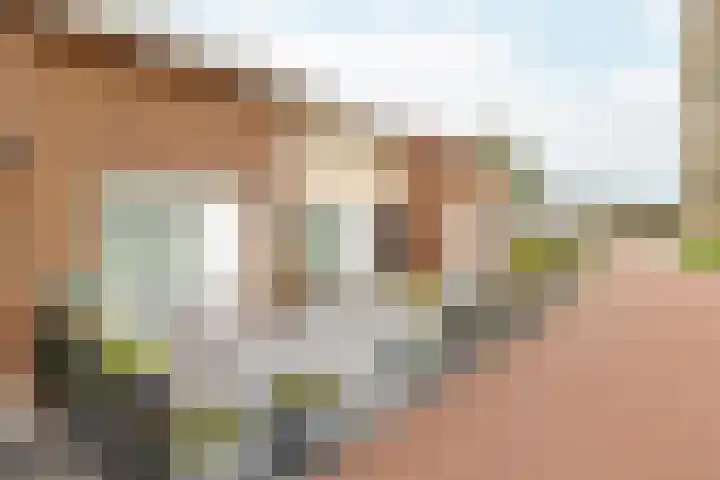 Populierenstraat 18 Oost-Souburg thumbnail 4